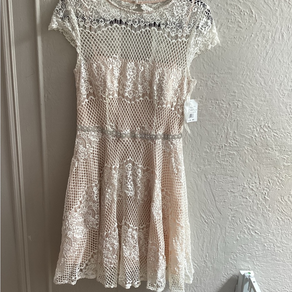 Brand New David’s Bridal Lace dress